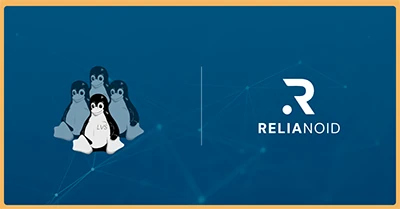 Migrate from Linux Virtual Server Load Balancer to RELIANOID Load Balancer